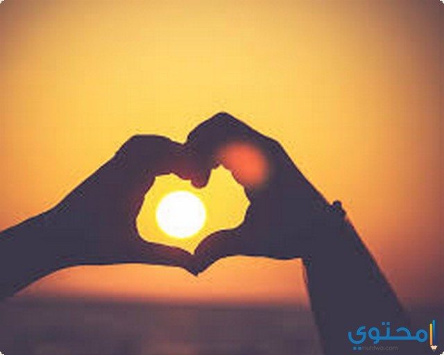 أشهر أقوال الفلاسفة عن الحياة