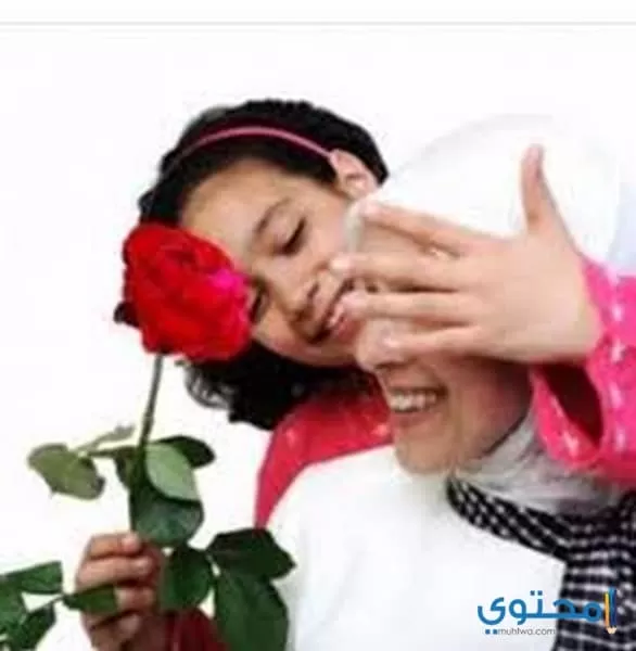 تفسير رؤية الخالة في الحلم بالتفصيل