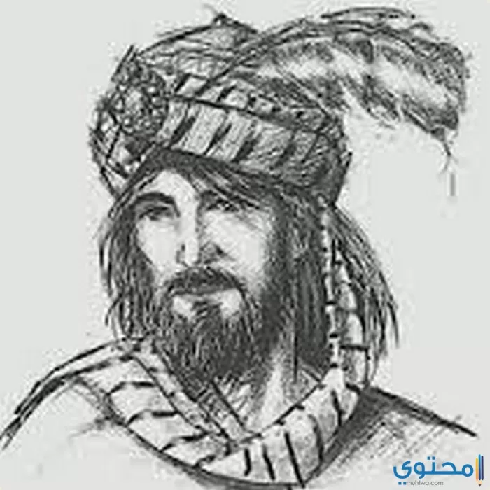 أشعار و قصائد عمرو بن كلثوم