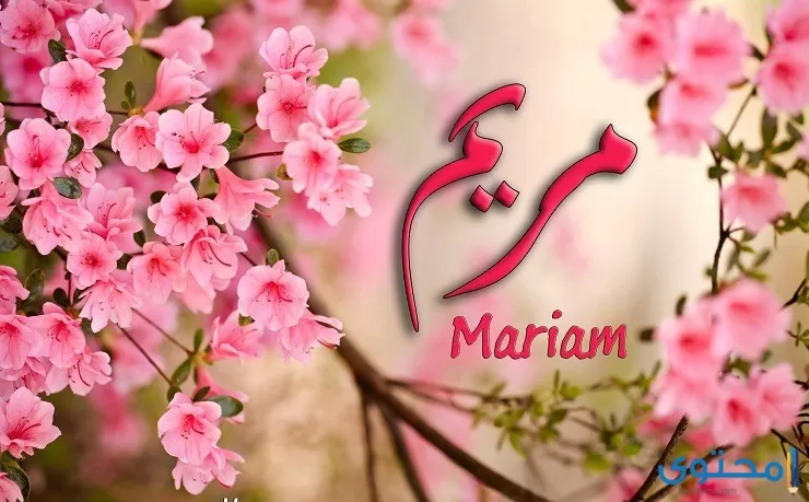 معنى اسم مريم