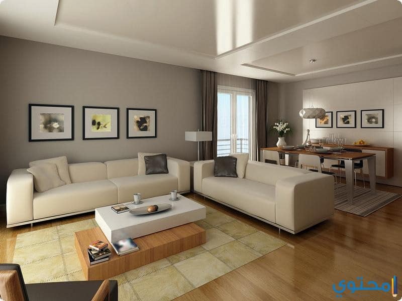 modern-living-rooms0