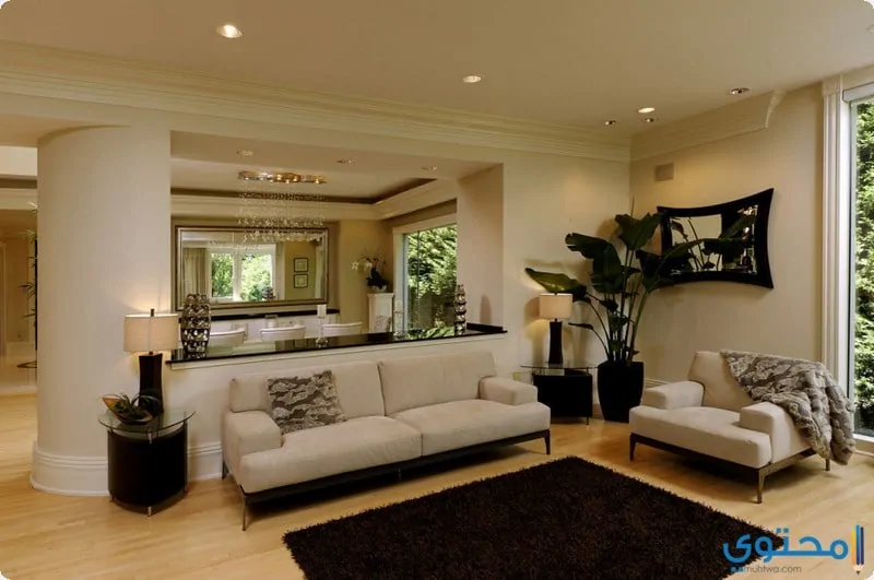 modern living rooms09