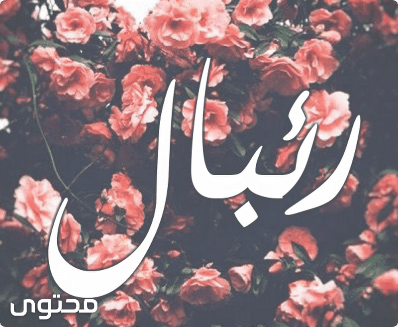 رئبال