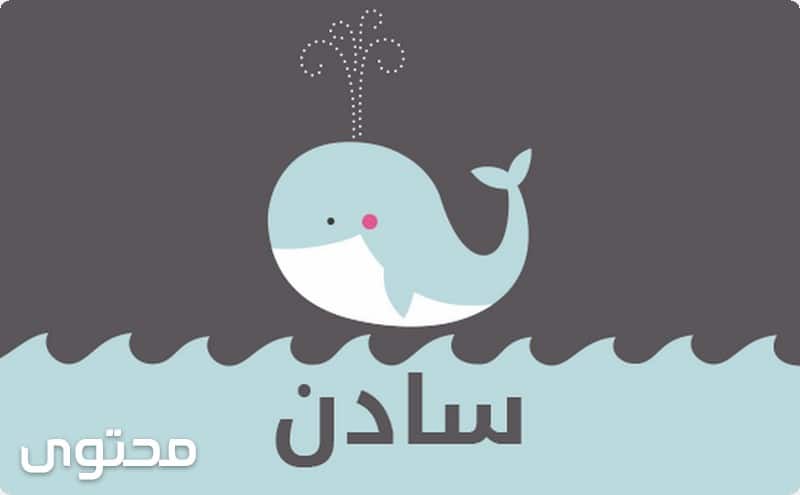 سادن