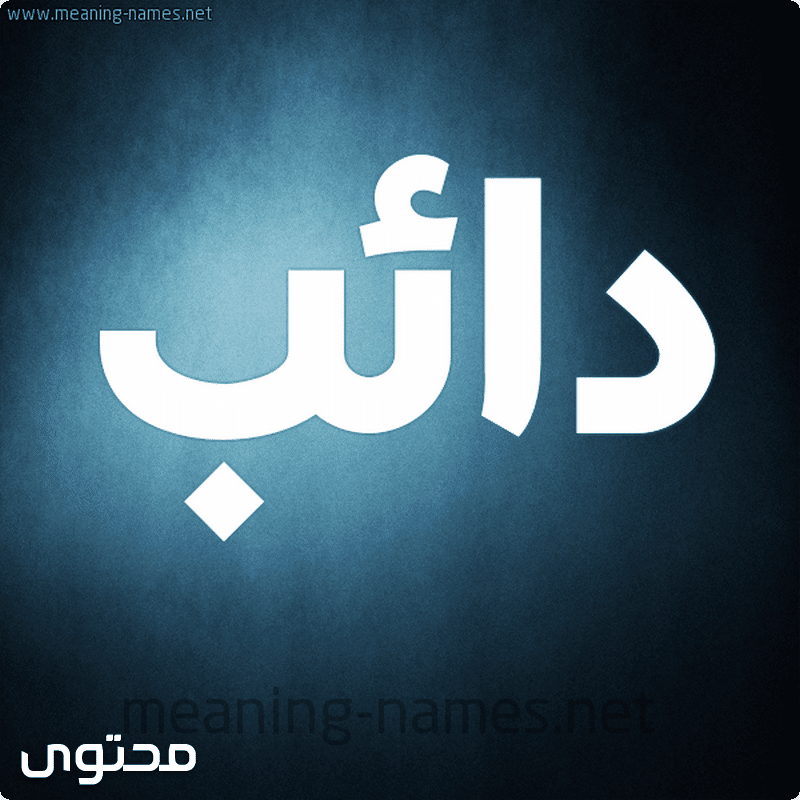 دائب