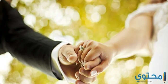 افضل أمثال وآيات قرآنية عن الزواج جديدة