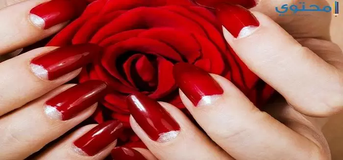 rote fingernaegel rosenbluete zoom