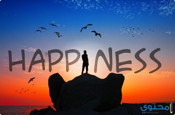 أمثال وعبر عن السعادة