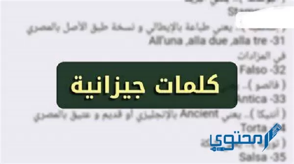 كلمات جيزانية ومعناها 