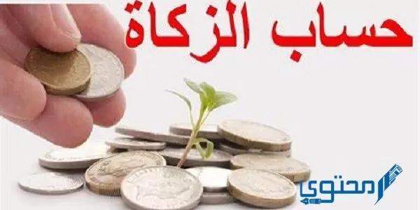 كم نسبة الزكاة من رأس المال