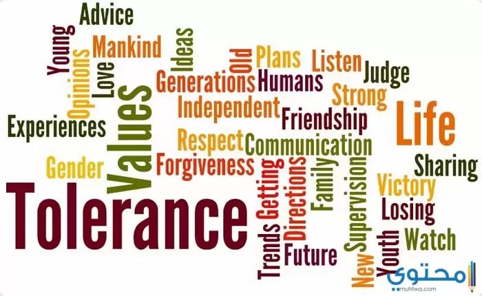 tolerance 2