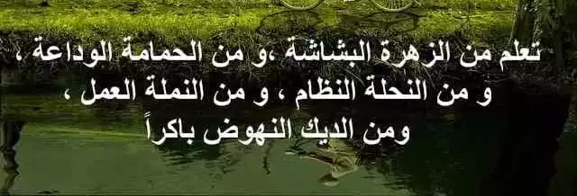 صور مكتوب عليها عبارات جميلة 2023