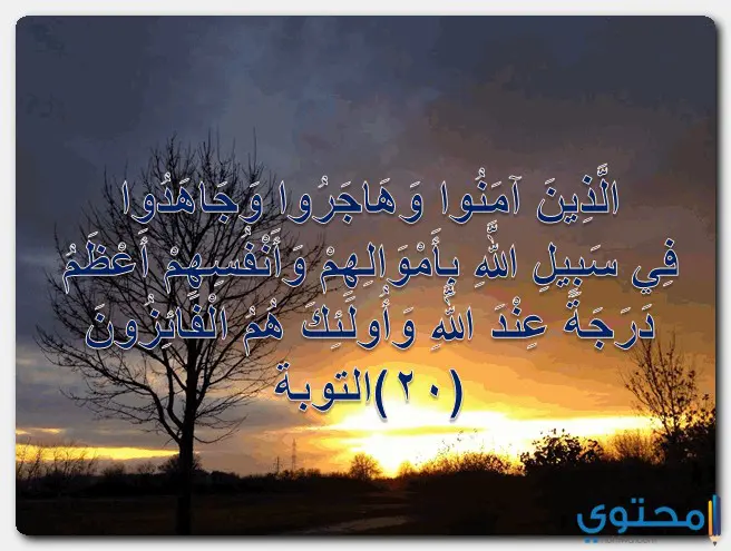 آيات عن الجنة