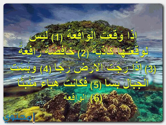 آيات عن يوم القيامة