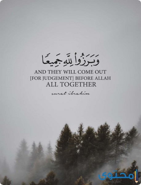 آيات قرآنية عن التعاون