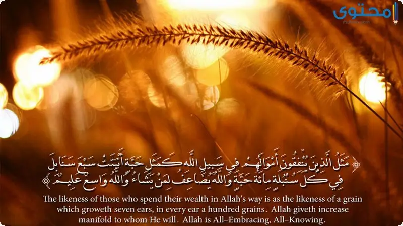 آيات قرآنية عن الصدقة