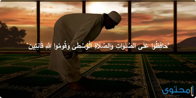 آيات قرآنية عن الصلاة