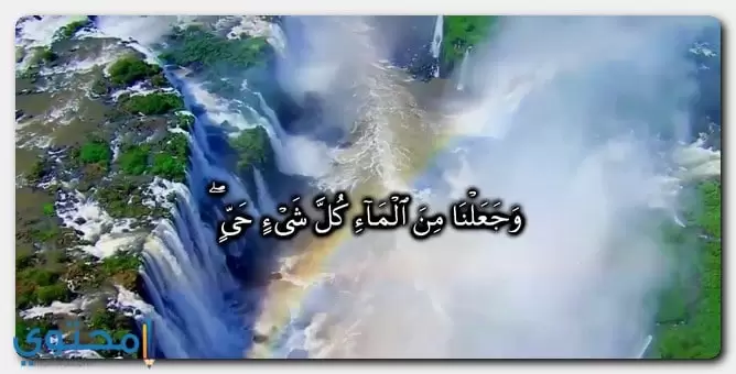 ايات قرانية عن الماء