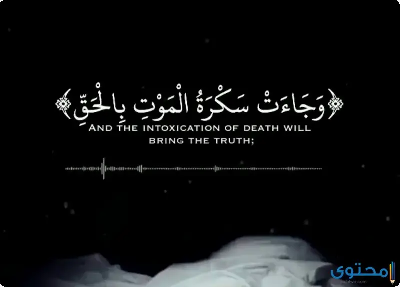 آيات قرآنية عن الموت