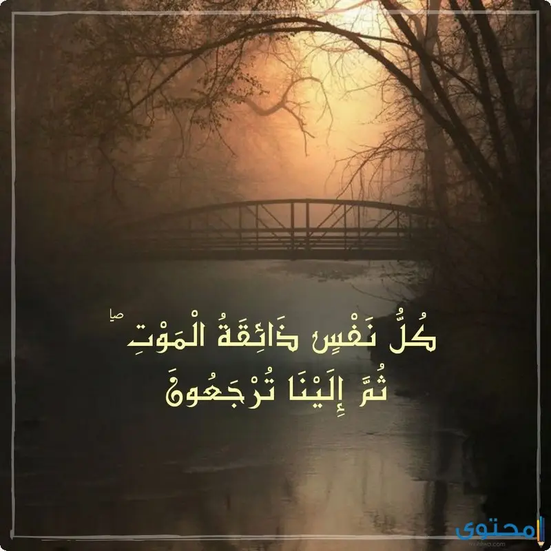 آيات قرآنية عن الموت