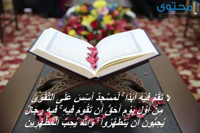 آيات قرآنية عن النظافة من الإيمان