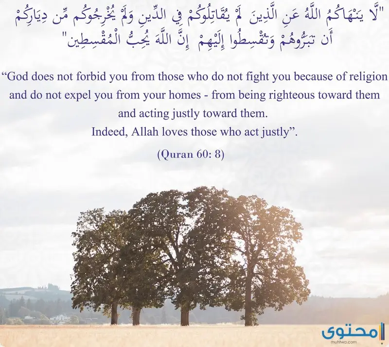 آيات قرآنية عن حب الوطن