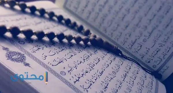 آيات قرآنية عن كلام الناس وأحاديث من السنة النبوية