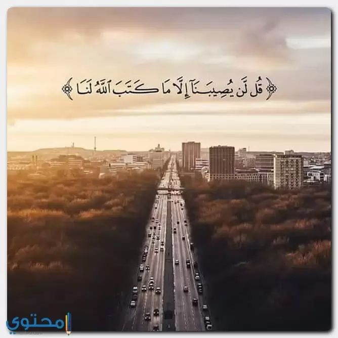 آيات قرآنية معبرة 1