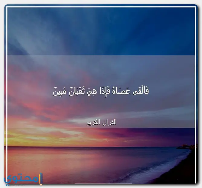 آيات من القرآن عن قصص