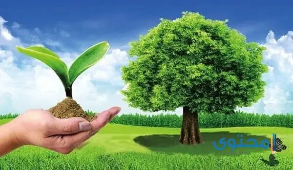 أثار التفاعلات الكيميائية على البيئة