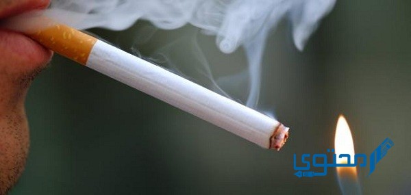 أثر التدخين في تلويث البيئة المنزلية