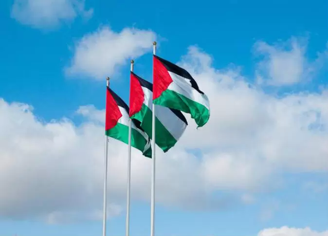 صور علم فلسطين 2024 خلفيات العلم الفلسطيني.. تُعبر عن صمودها ورفع رايتها بين الدول