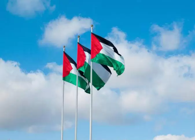 أجمل صور علم فلسطين 2024 خلفيات العلم الفلسطيني.. تُعبر عن صمودها ورفع رايتها بين الدول