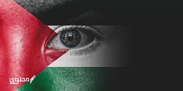 أجمل صور علم فلسطين 2024 خلفيات العلم الفلسطيني.. تُعبر عن صمودها ورفع رايتها بين الدول