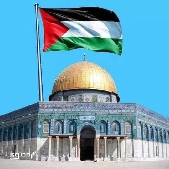 أجمل صور علم فلسطين 2024 خلفيات العلم الفلسطيني.. تُعبر عن صمودها ورفع رايتها بين الدول