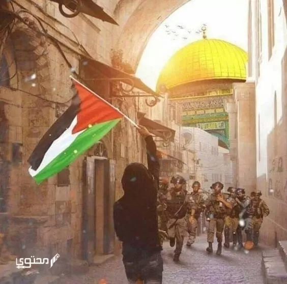 أجمل صور علم فلسطين 2024 خلفيات العلم الفلسطيني.. تُعبر عن صمودها ورفع رايتها بين الدول