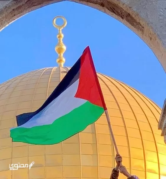 أجمل صور علم فلسطين 2024 خلفيات العلم الفلسطيني.. تُعبر عن صمودها ورفع رايتها بين الدول