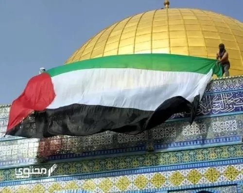 أجمل صور علم فلسطين 2024 خلفيات العلم الفلسطيني.. تُعبر عن صمودها ورفع رايتها بين الدول