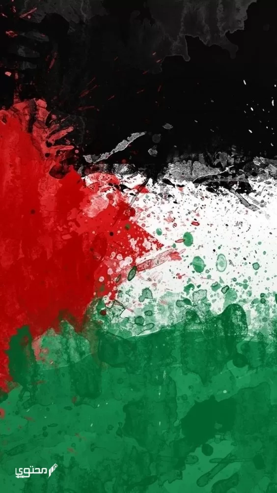 أجمل صور علم فلسطين 2024 خلفيات العلم الفلسطيني.. تُعبر عن صمودها ورفع رايتها بين الدول