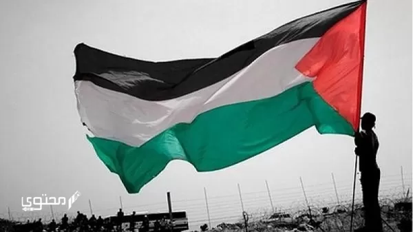 أجمل صور علم فلسطين 2024 خلفيات العلم الفلسطيني.. تُعبر عن صمودها ورفع رايتها بين الدول