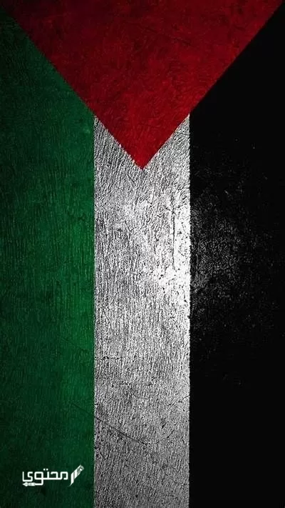 أجمل صور علم فلسطين 2024 خلفيات العلم الفلسطيني.. تُعبر عن صمودها ورفع رايتها بين الدول