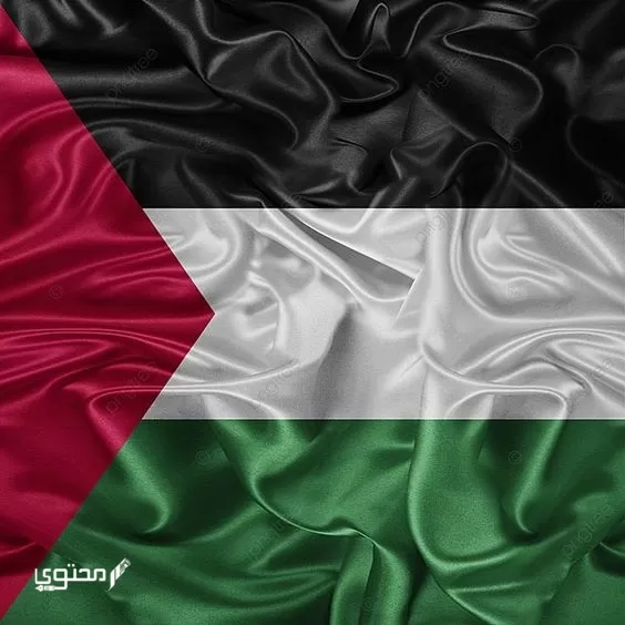 أجمل صور علم فلسطين 2024 خلفيات العلم الفلسطيني.. تُعبر عن صمودها ورفع رايتها بين الدول