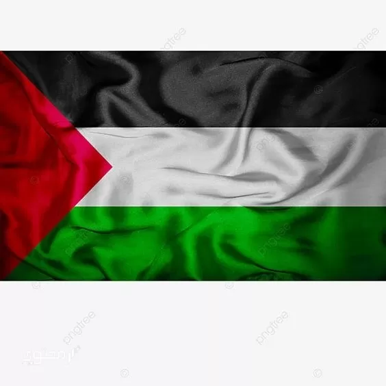 أجمل صور علم فلسطين 2024 خلفيات العلم الفلسطيني.. تُعبر عن صمودها ورفع رايتها بين الدول