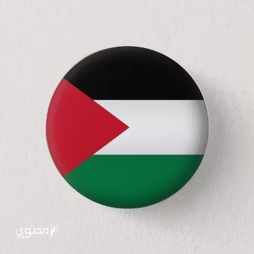 أجمل صور علم فلسطين 2024 خلفيات العلم الفلسطيني.. تُعبر عن صمودها ورفع رايتها بين الدول