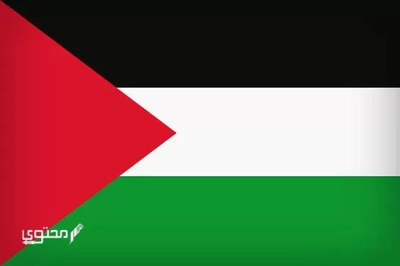 أجمل صور علم فلسطين 2024 خلفيات العلم الفلسطيني.. تُعبر عن صمودها ورفع رايتها بين الدول