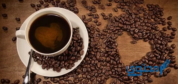 أجمل 10 عبارات عن القهوة والحب
