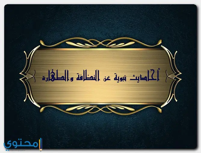 نبوية عن النظافة 1