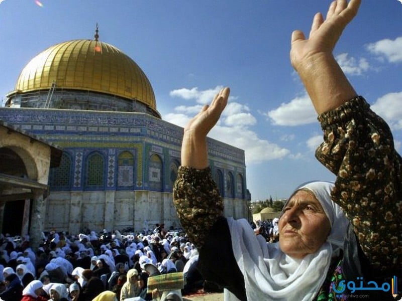 افضل 30 دعاء للقدس والمسجد الأقصى 2023 دعاء لأهل فلسطين