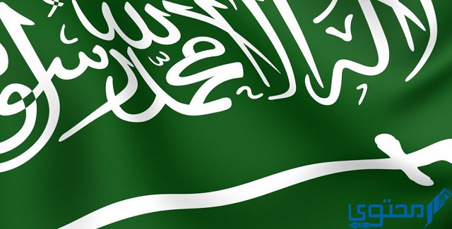 أروع صور لليوم الوطني السعودي