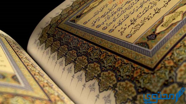 أسئلة دينية عن الآيات القرآنية